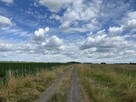 Na sprzedaż działka inwestycyjna w Lubinie - 7