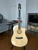 L.R. Baggs AEG-1 Acoustic Electric Guitar - 4