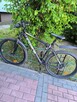 Rower Indiana X-pulser - 2