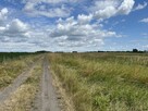 Na sprzedaż działka inwestycyjna w Lubinie - 6