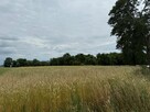 Gospodarstwo Rolne na sprzedaż - 3