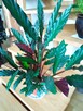 Skrzydłokwiat variegata Diamond-piękny oczyszczacz powietrza - 5
