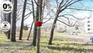 Mieszkanie Świdnica - 2