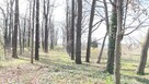 Mieszkanie Świdnica - 5