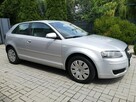 Audi A3 1.9 TDI 105KM Klima Elektryka Po wymianie rozrządu Gwarancja - 4