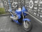 Honda CB Honda CB 900 Hornet - 1