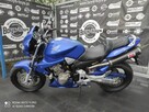 Honda CB Honda CB 900 Hornet - 6