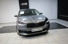Škoda Fabia Salon Polska*Bezwypadkowy*MPI*Instalacja LPG*Faktura VAT23% - 5