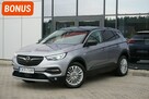 Opel Grandland X I-rej.2018r., Salon PL! I-ręka, 8xAlu, LED, Navi, Półskóra, Kamera 360 - 1