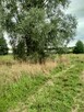 Działka 4211m2,Czarnowo, blisko jezioro,las. - 5
