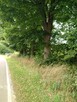 Działka 4211m2,Czarnowo, blisko jezioro,las. - 8