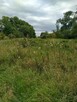 Działka 4211m2,Czarnowo, blisko jezioro,las. - 9