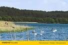 Działka budowlana w warunkami zabudowy przy lesie! - 15