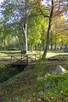 Najem Zespołu Parkowo-Pałacowego w Małkocinie - 2