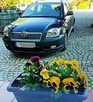 Toyota Kombi Avensis 1.8 benz. - 7