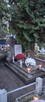 Sprzątanie i pielęgnacja grobów Zamość - 3