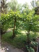 SPRZEDAM MIESZKANIE - 14