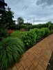 Działka ROD 1000m² – altana murowana, kominek, TV, basen, mo - 6