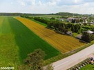 Tuż obok lotniska Modlin 1,9ha-WZ-11 domów - 3