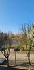 Mieszkanie OPoczno Opoczno, Partyzantów 53 - 8
