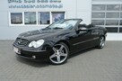Mercedes CLK 200 1.8i Kompressor Automat Cabrio Avantgarde Skóra Opłaty do 26.03.2026 - 5