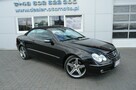 Mercedes CLK 200 1.8i Kompressor Automat Cabrio Avantgarde Skóra Opłaty do 26.03.2026 - 10
