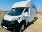Koniowóz Peugeot Boxer, Zabudowa 2025r - 4