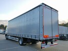 DAF CF 290 E6 Firana Tył Drzwi Dach Podnoszony / Zsuwany Długi 9.30m Ład-9300kg -18000kg Kabina Glob - 16