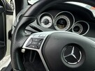 Mercedes C 250 AMG, Oryginalny przebieg, Panorama dach otwierana, LED - 16