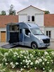 Renault Master Koniowóz, 4 Miejsca, Zabudowa Ogierowa. Kam.Cof.Hak. Na 2 konie.Szyber - 4