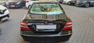 Mercedes CLK 270 ZOBACZ OPIS !! SUPER STAN !!!!! - 6