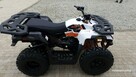 KAYO Inny SALON MOTOCYKLOWY MOTOEAGLES Kayo AU 180 Sprawdż ofertę i Serwis - 6