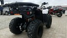 KAYO Inny SALON MOTOCYKLOWY MOTOEAGLES Kayo AU 180 Sprawdż ofertę i Serwis - 15