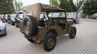 Jeep Willys zarejestrowany w Polsce. - 5