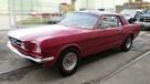 Ford Mustang V8 289cu Automat Sprowadzony C-code LUXURYCLASSIC - 1