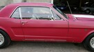 Ford Mustang V8 289cu Automat Sprowadzony C-code LUXURYCLASSIC - 11