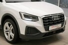 Audi Q2 Serwisowany Kamera Cofania Gwarancja - 13