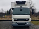 DAF LF45.180 WINDA CHŁODNIA 15EP 6,20x2,45x2,19 KLIMA AGREGAT CARRIER SUPRA 550 FUNKCJA GRZANIA 4x2 - 14