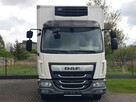 DAF 12T LF 210 WINDA CHŁODNIA 14EP 5,79x2,48x2,29 KLIMA IZOTERMA AGREGAT CARRIER XARIOS 500 - 15