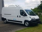 Fiat Ducato 3 KOMORY L3H2 CHŁODNIA IZOTERMA GRZANIE AGREGAT KLIMA TEMPOMAT - 2