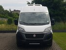 Fiat Ducato 3 KOMORY L3H2 CHŁODNIA IZOTERMA GRZANIE AGREGAT KLIMA TEMPOMAT - 15