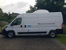 Fiat Ducato 3 KOMORY L3H2 CHŁODNIA IZOTERMA GRZANIE AGREGAT KLIMA TEMPOMAT - 12