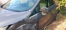 Ford C.Max . Mk2. Na części. - 3
