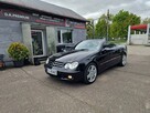 Mercedes CLK 350 3.5 Benzyna V6 272 KM, Skóra, Automat, Łopatki, Alufelgi AMG, EL. Dach - 3