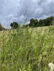 Działka przemysłowa 10 244 m² z mediami, Słupno. - 4