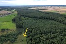 Działka rekreacyjna Sarbia gm. Mieścisko - 4