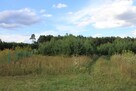 Działka rekreacyjna Sarbia gm. Mieścisko - 9