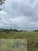 Działka w Radomsku ul. Piaskowa - 6