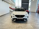 Cupra Formentor 1.5TSI 150KM M6 2023 r., salon PL, I właściciel, gwarancja, f-a VAT - 3