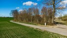 Działka budowlana Sztumska Wieś gm. Sztum - 6